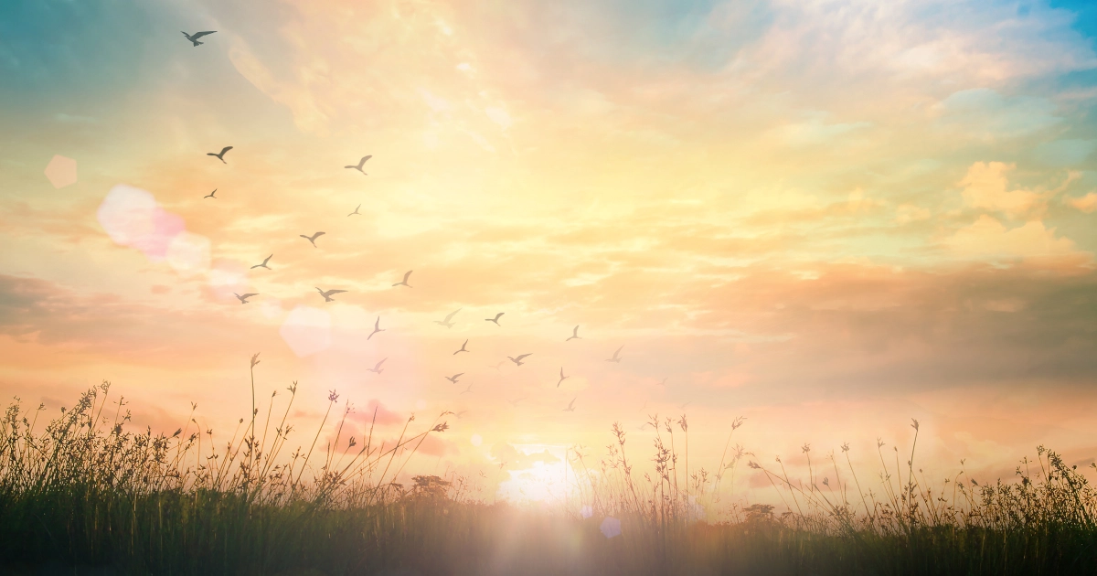 サイトリニューアル